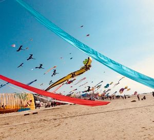 Flock of kites flying over beach against blue sky during kites festival in berck sur mer 