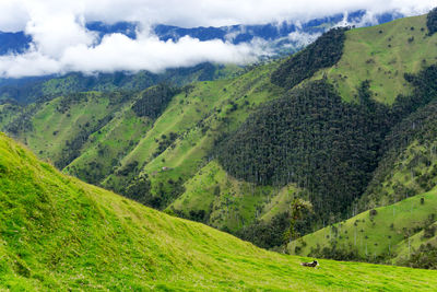 Scenic view of green landscape and mountains against sky