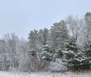 Snow covered land and trees against clear sky