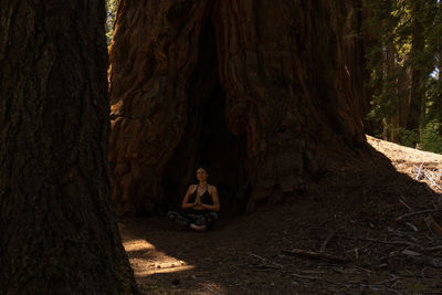 People sitting on tree trunk in forest