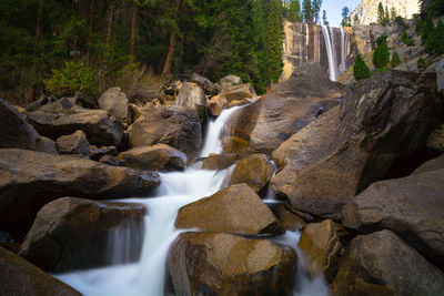 Scenic view of waterfall in forest