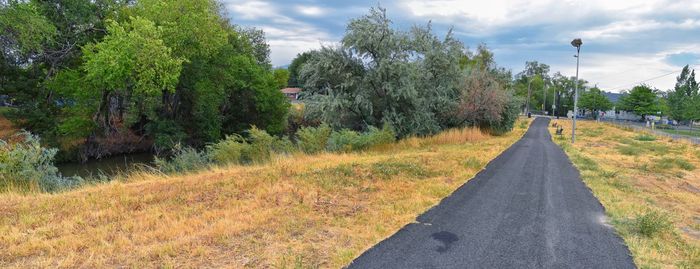 Road amidst trees and plants against sky