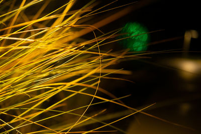 Close-up of light trails at night