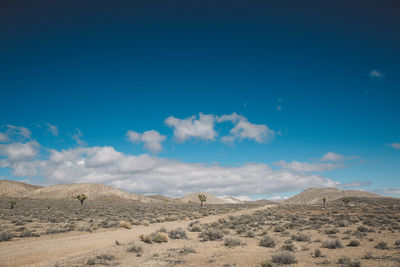 Scenic view of desert against blue sky