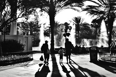 Shadow of people on tree trunk