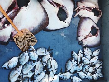 Close-up of fish for sale in market