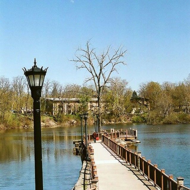 water, tree, clear sky, tranquility, tranquil scene, the way forward, railing, pier, lake, scenics, nature, beauty in nature, blue, jetty, river, idyllic, street light, copy space, diminishing perspective, sky