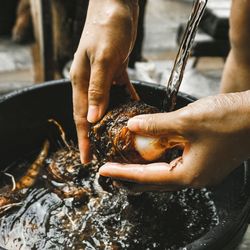 Close-up of person washing food in running water