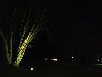 Illuminated tree against sky at night
