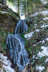 Waterfall in forest