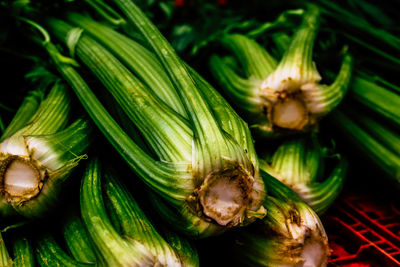 High angle view of vegetables