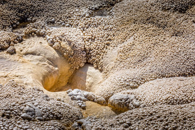 Close up of the limestone pattern of the aurum geyser, yellowstone