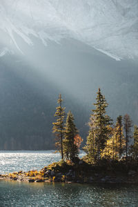 Scenic view of lake in forest during winter