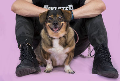 Low section of man sitting with dog against pink background