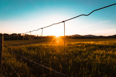 Scenic view of field against sky during sunset