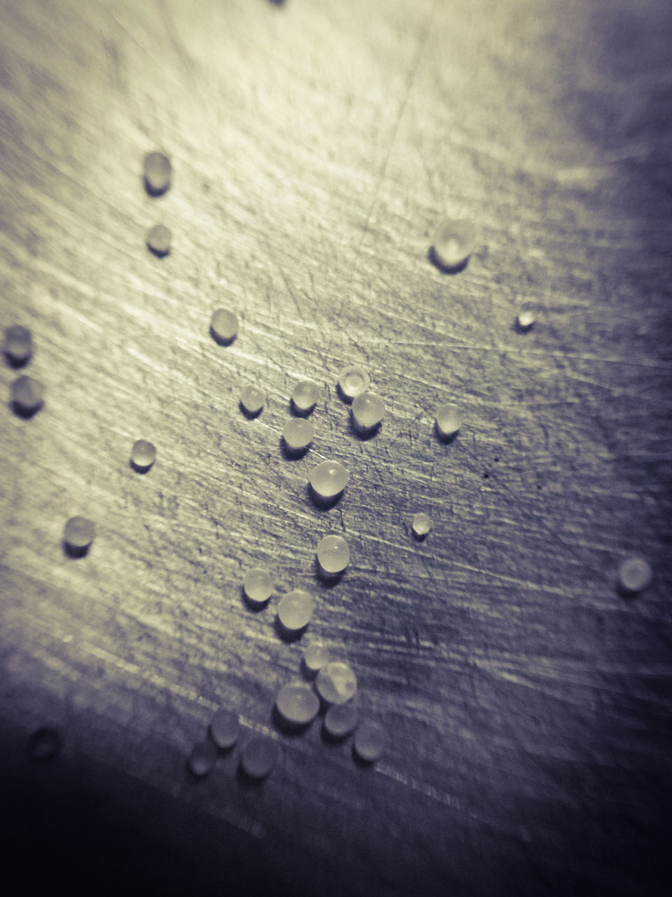 FULL FRAME SHOT OF RAINDROPS ON WET LEAF