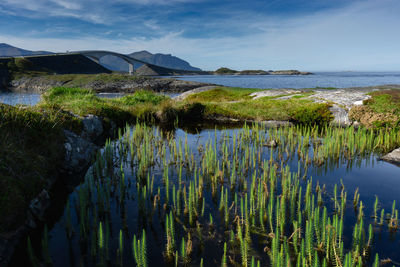 Scenic view of sea against sky