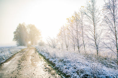 Road amidst trees on field during winter against sky