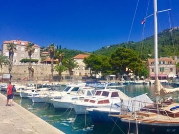 Boats moored at harbor