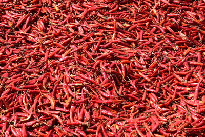 Full frame shot of red chili peppers for sale at market