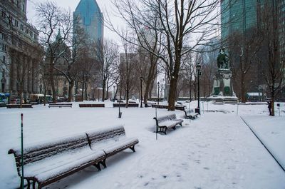 Snow covered trees and buildings in city