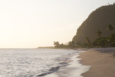 Misty golden sunset at sandy tropical beach with leaning palm trees