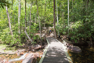 Boy on footpath amidst trees in forest