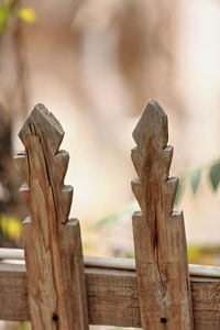 Close-up of wooden fence against trees