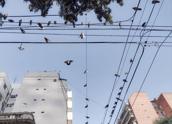 Low angle view of cables against sky
