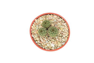 Directly above shot of fire against white background