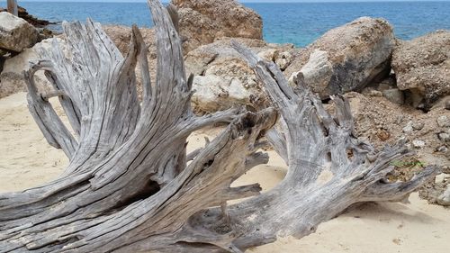 Rock formations on beach