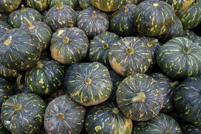 Full frame shot of pumpkins at market