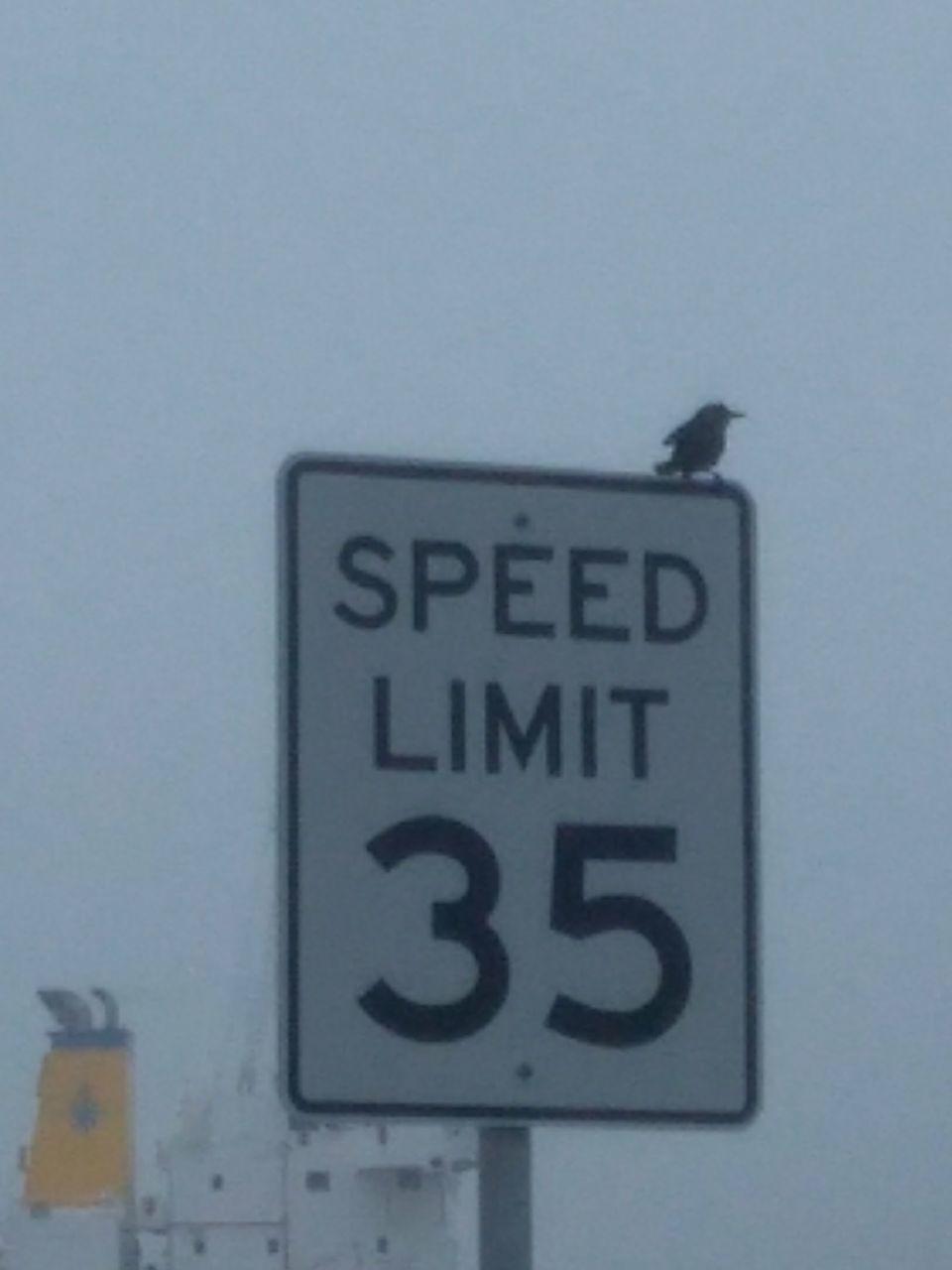 CLOSE-UP OF ROAD SIGN ON WALL