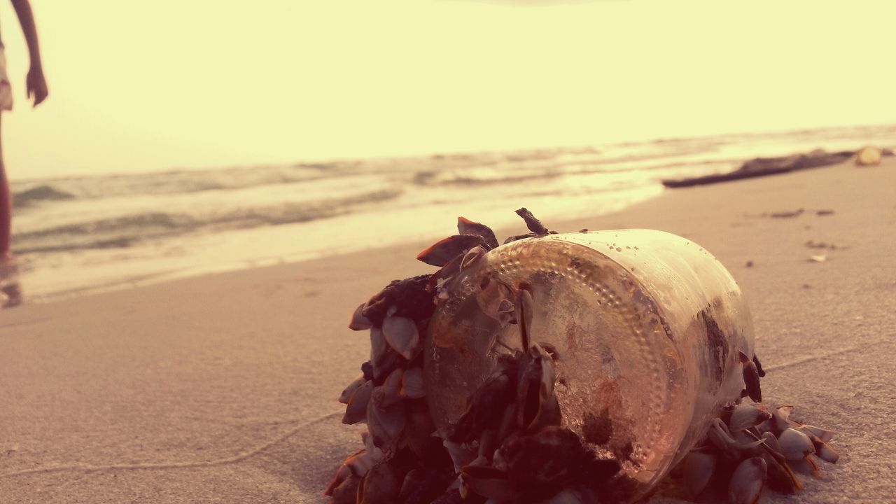 sand, beach, focus on foreground, shore, close-up, transportation, clear sky, sky, sea, sunlight, outdoors, desert, day, horizon over water, abandoned, protection, tranquility, nature, mode of transport, no people