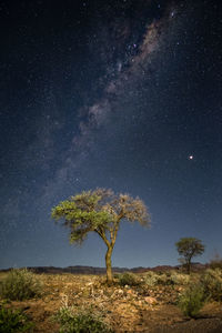 Trees on field against sky at night