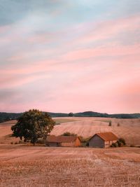 Scenic view of agricultural field against sky during sunset