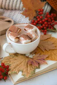 Celebrating autumn holidays at cozy home with cup hot chocolate marshmallows cacao on the windowsill 