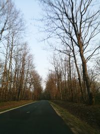 Road amidst trees against sky