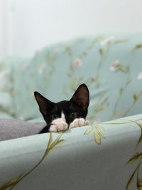 Close-up portrait of cat on floor