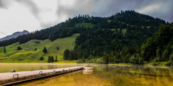 Scenic view of river amidst trees against sky