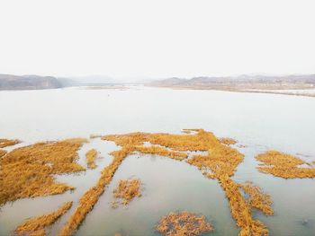 Scenic view of lake against clear sky