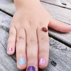 Cropped hand of woman with ladybug on wooden table