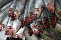 Full frame shot of market stall