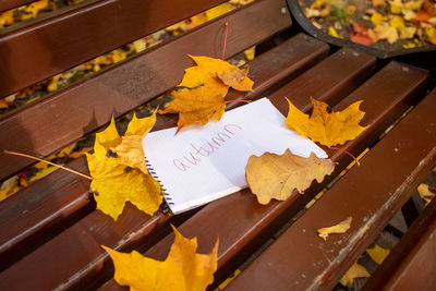 High angle view of yellow leaves on table