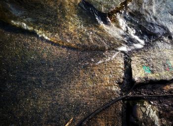 Close-up of water flowing through rocks