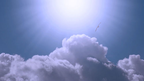 Low angle view of bird flying against blue sky