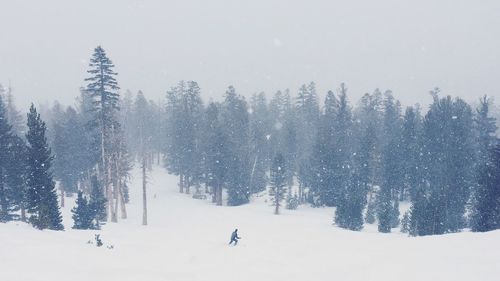 Scenic view of snow covered landscape