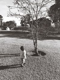 Full length of woman standing on tree trunk