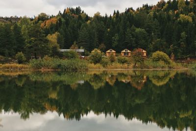 Reflection of trees in lake against sky