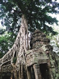 Low angle view of a temple